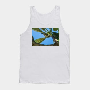 japanese white eye 22 Tank Top